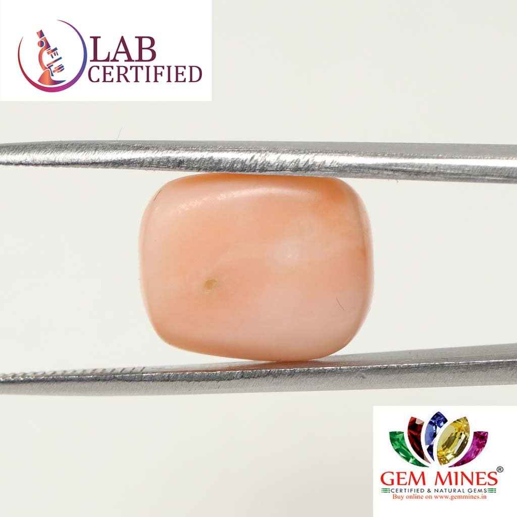CRL3804 2 Coral 12.41 Ct.