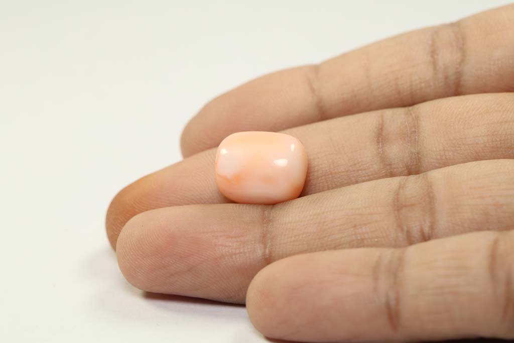 CRL3804 3 Coral 12.41 Ct.