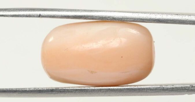 CRL3805 1 e1679656398883 Coral 14.25 Ct.