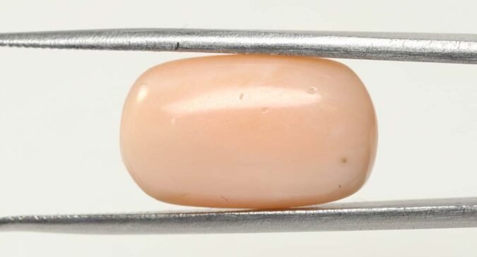 CRL3806 1 e1679656491251 Coral 13.52 Ct.
