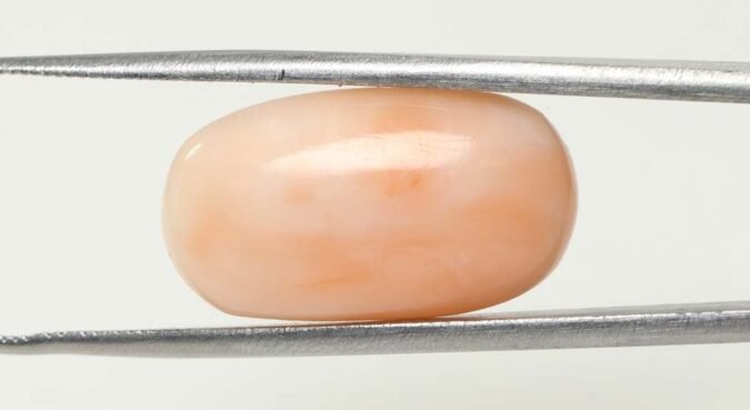 CRL3807 1 e1679650356378 Coral 11.65 Ct.