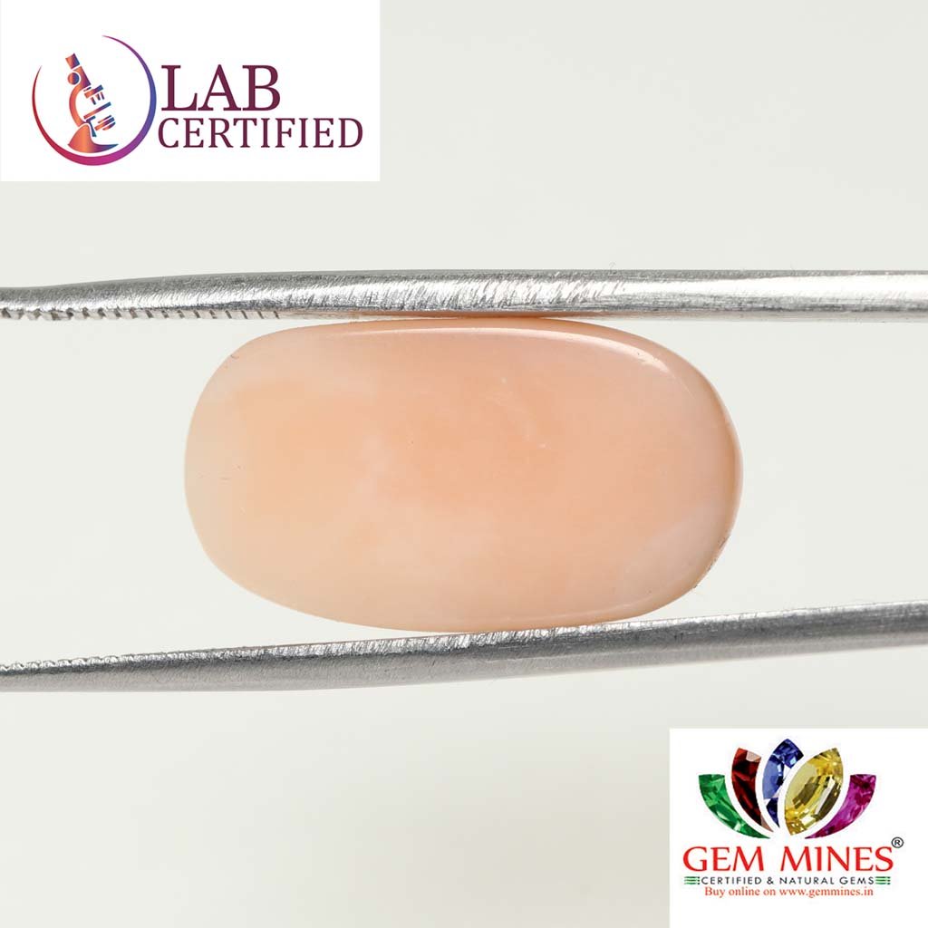 CRL3807 2 Coral 11.65 Ct.