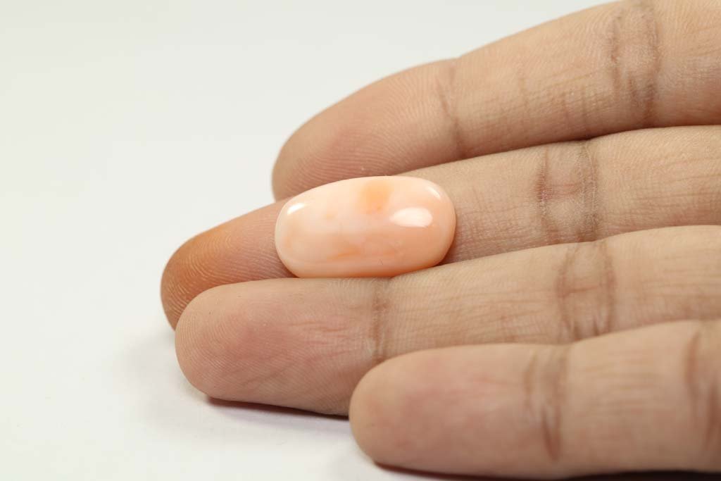 CRL3807 3 Coral 11.65 Ct.