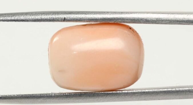 CRL3813 1 e1679649378684 Coral 9.06 Ct.