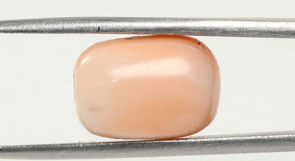 CRL3813 1 e1679649378684 Coral 9.06 Ct.