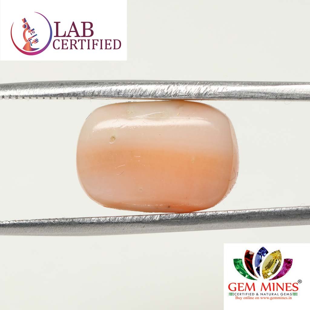 CRL3813 2 Coral 9.06 Ct.