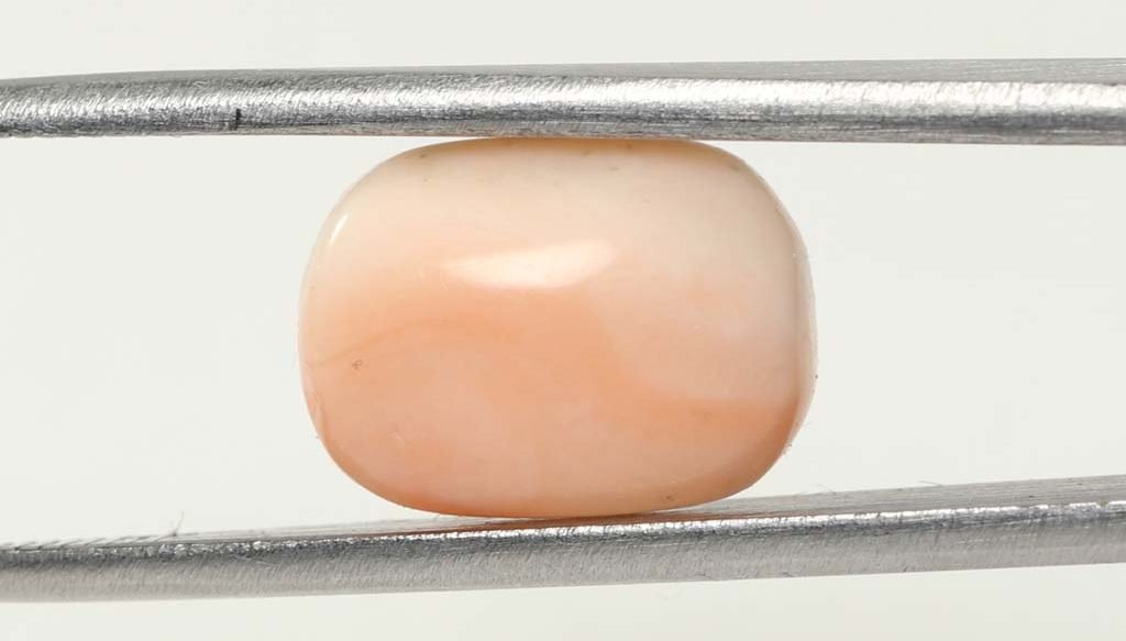 CRL3815 1 e1679649010798 Coral 7.17 Ct.
