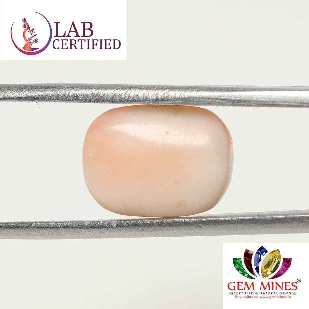 CRL3815 2 Coral 7.17 Ct.