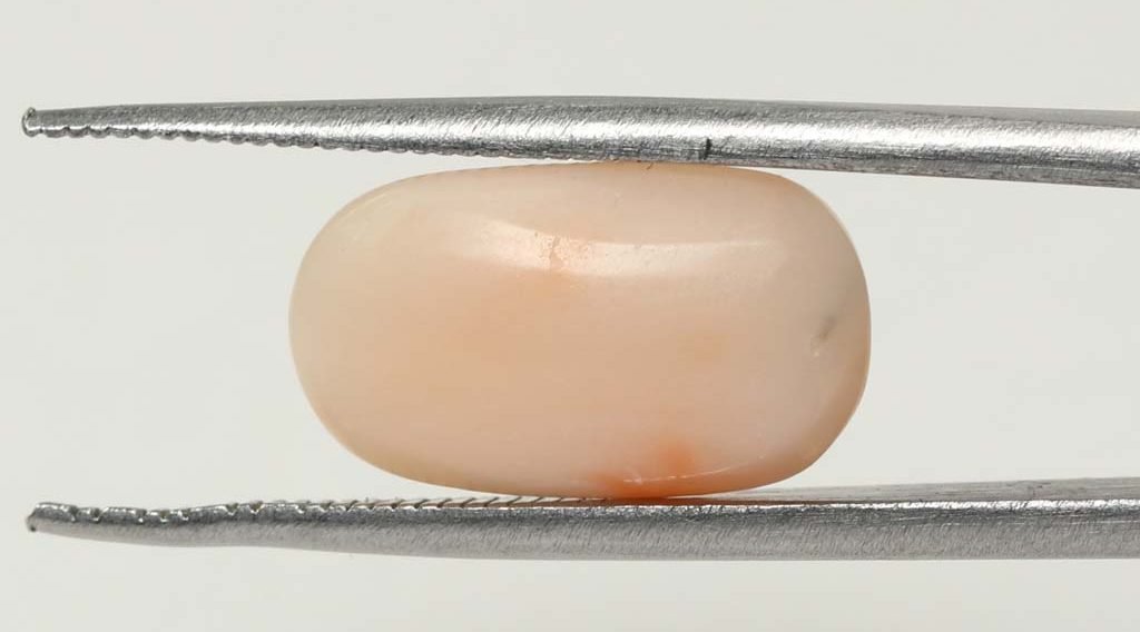 CRL3816 1 e1679649119261 Coral 6.93 Ct.