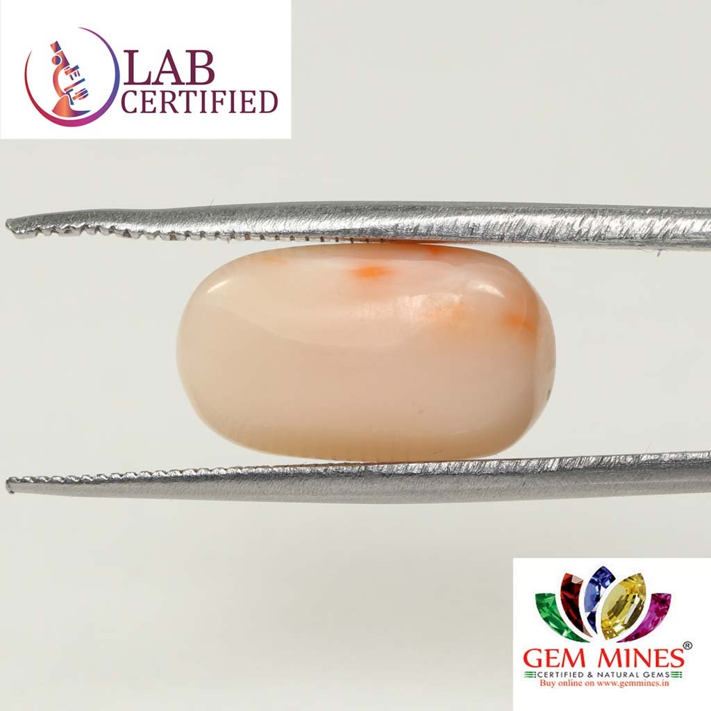 CRL3816 2 Coral 6.93 Ct.