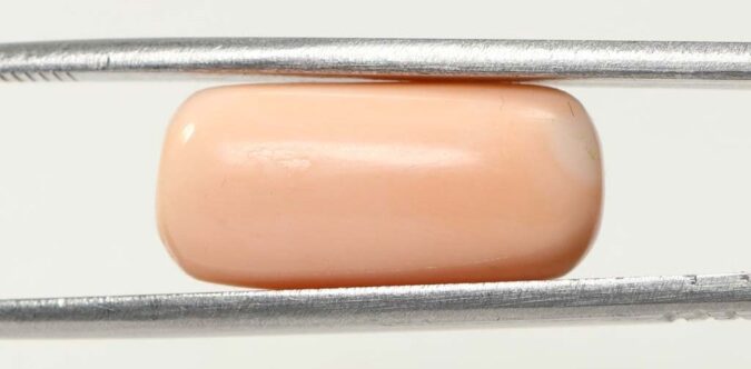 Coral 13.27 Ct. 1 CRL3818 1 e1679648892328 Coral 13.27 Ct.