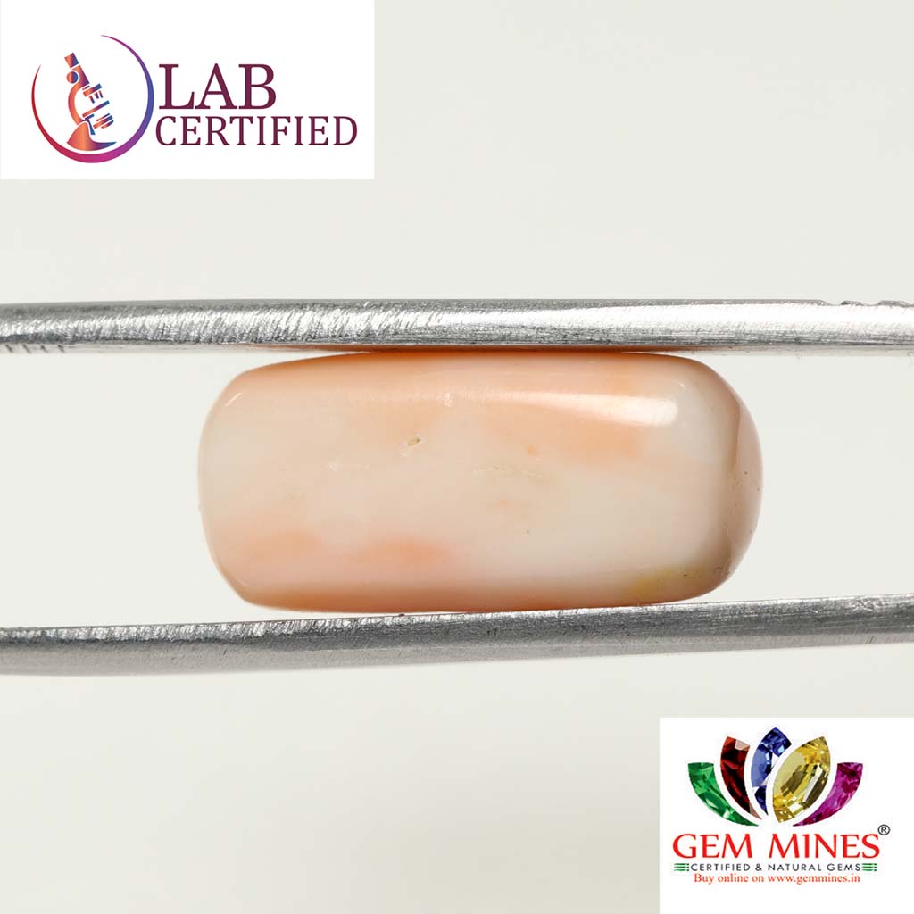 Coral 13.27 Ct. 3 CRL3818 2 Coral 13.27 Ct.