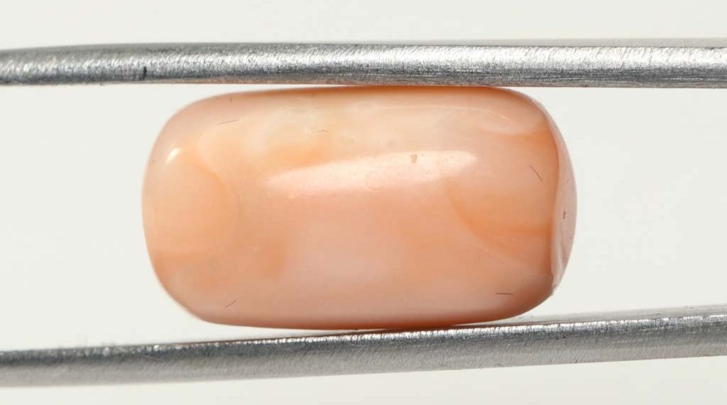 Coral 11.87 Ct.