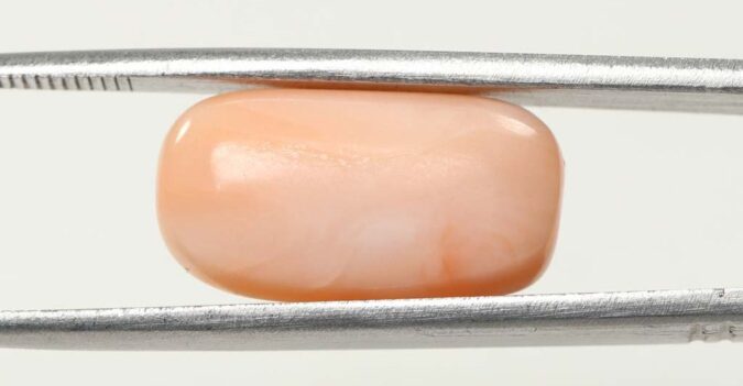 Coral 11.71 Ct.