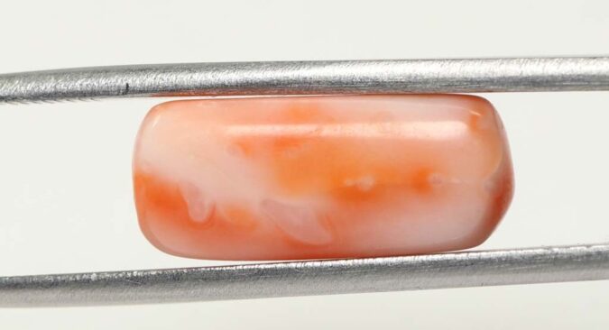 Coral 9.65 Ct.