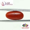 Coral 6.01 Ct.