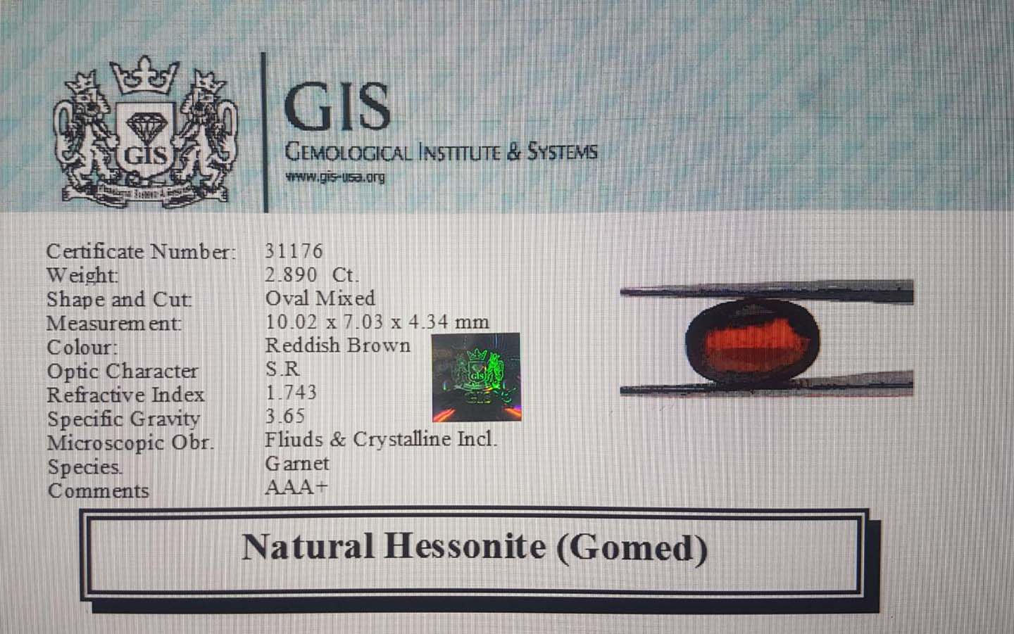 GMD3952 4 Hessonite (Gomed) 2.89 Ct.