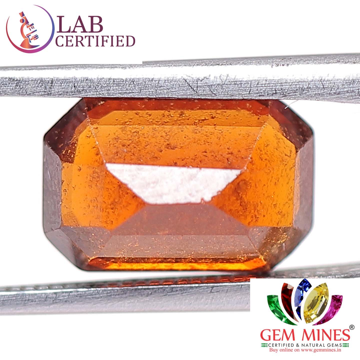 GMD4001 2 Hessonite (Gomed) 2.93 Ct.