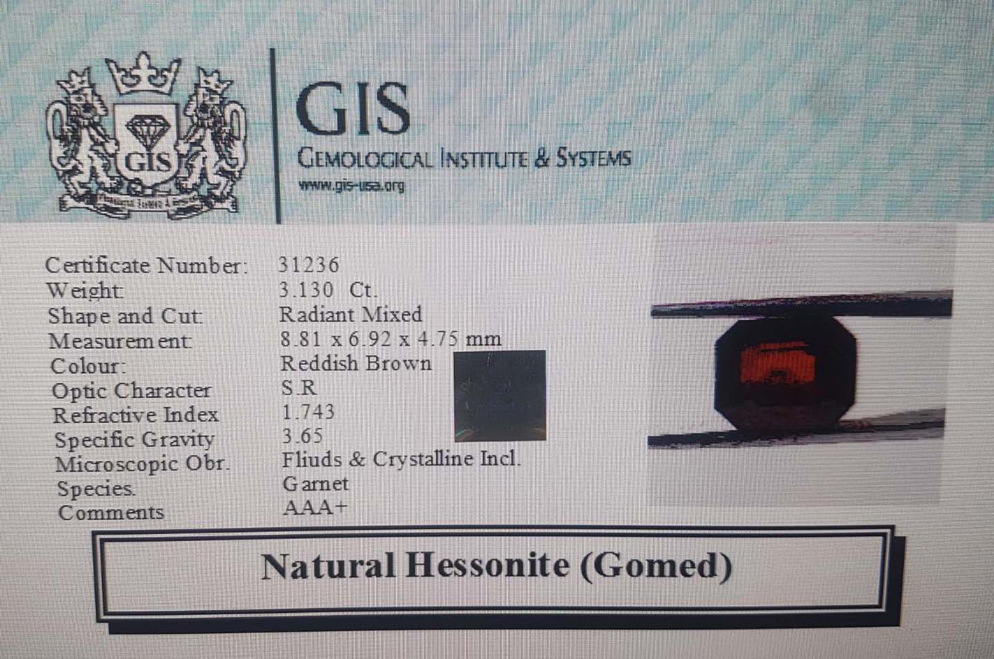Hessonite (Gomed) 3.13 Ct.