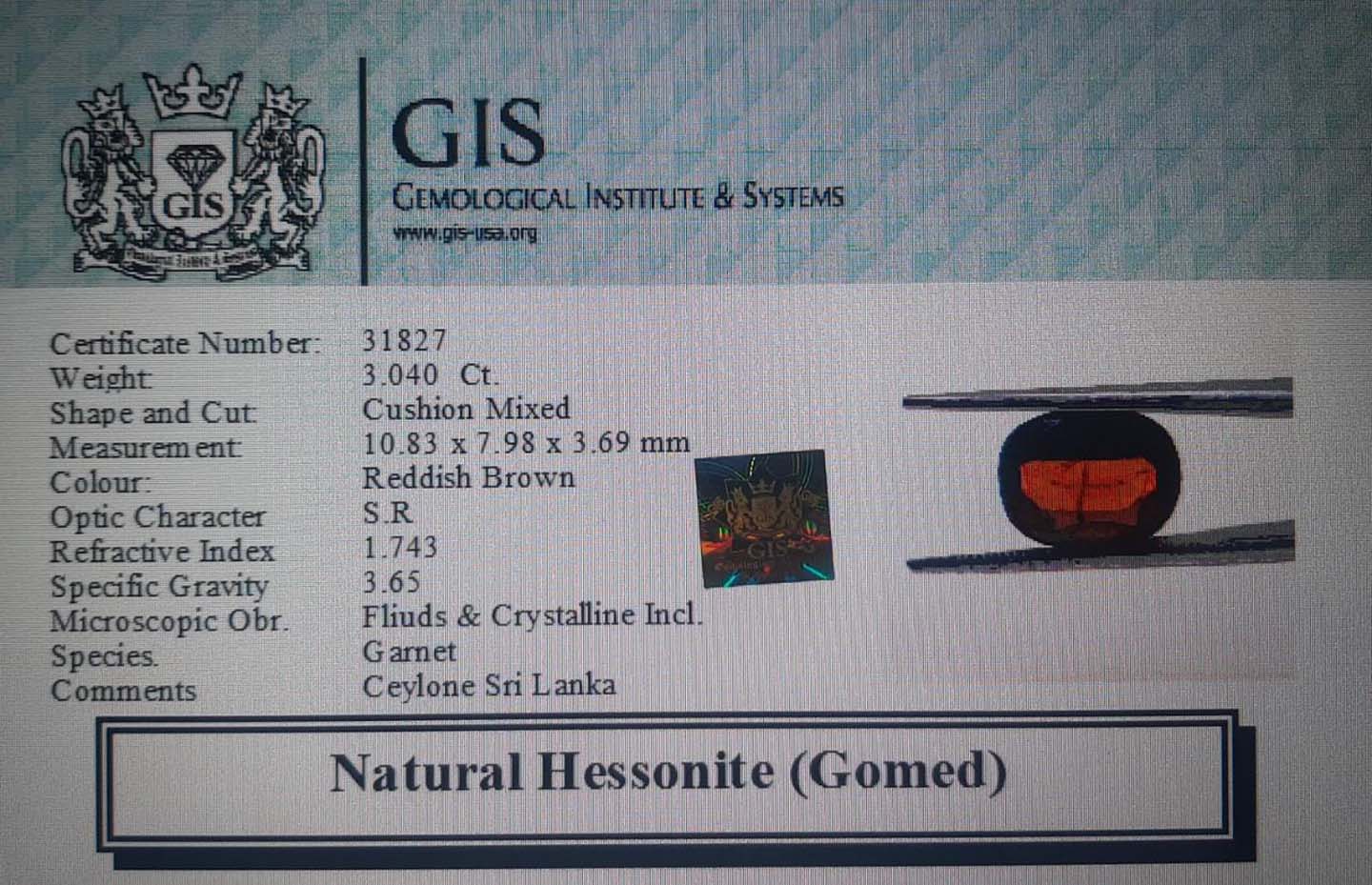 Hessonite (Gomed) 3.04 Ct.