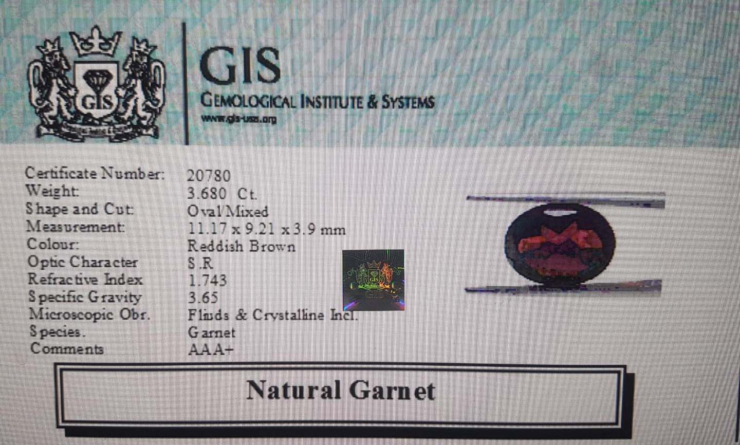 Garnet 3.68 Ct.