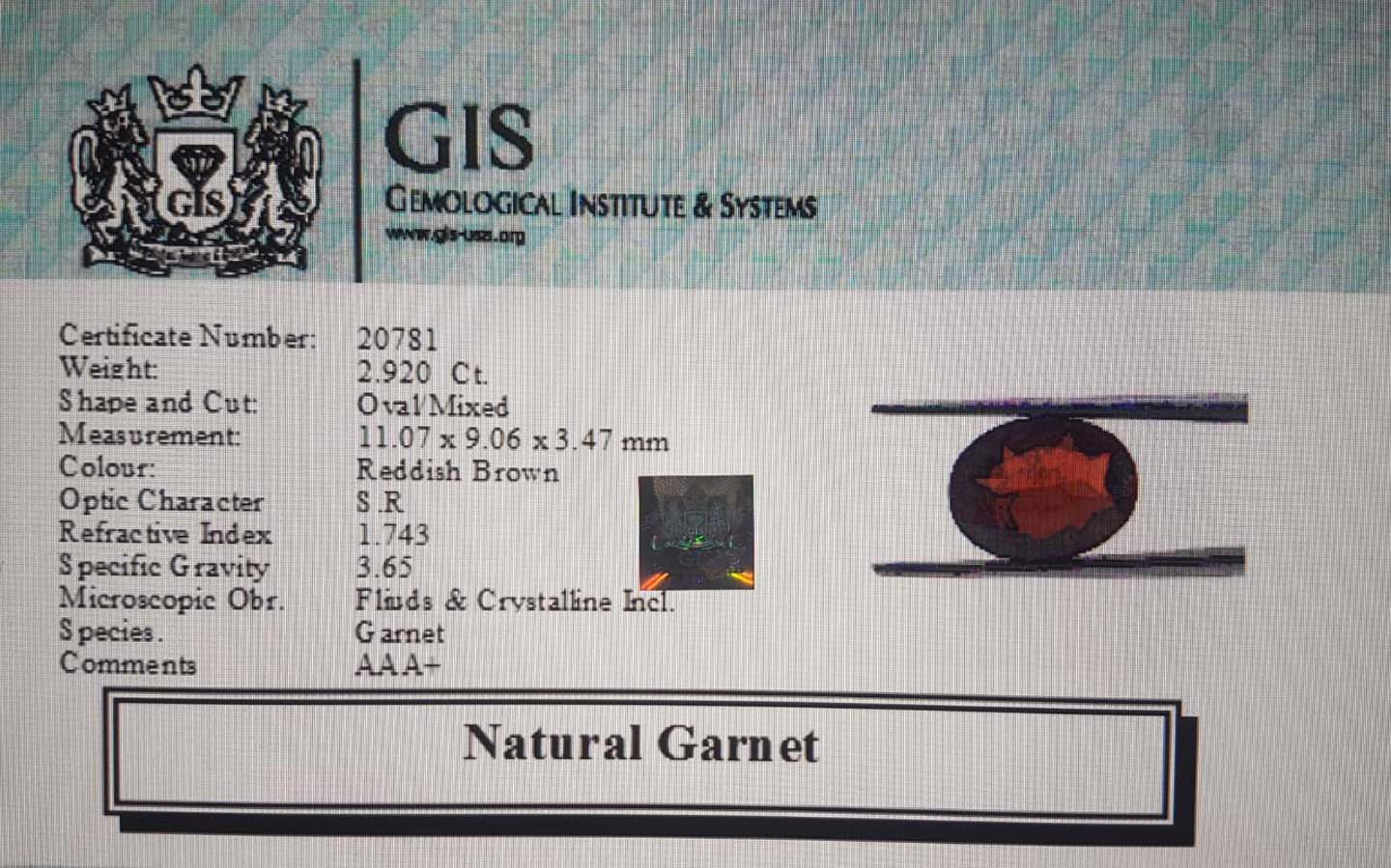 Garnet 2.92 Ct.