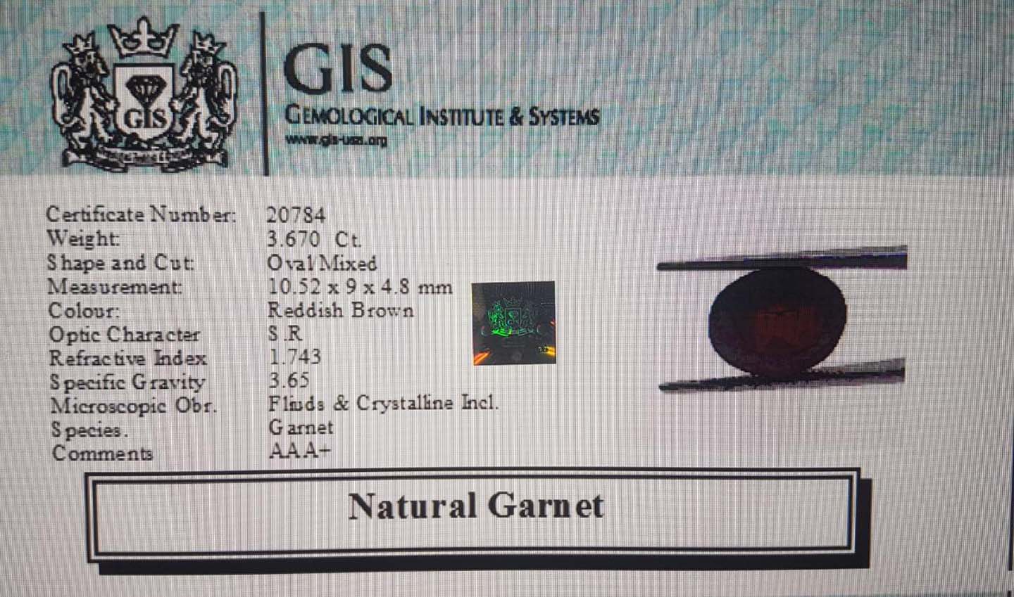 Garnet 3.67 Ct.