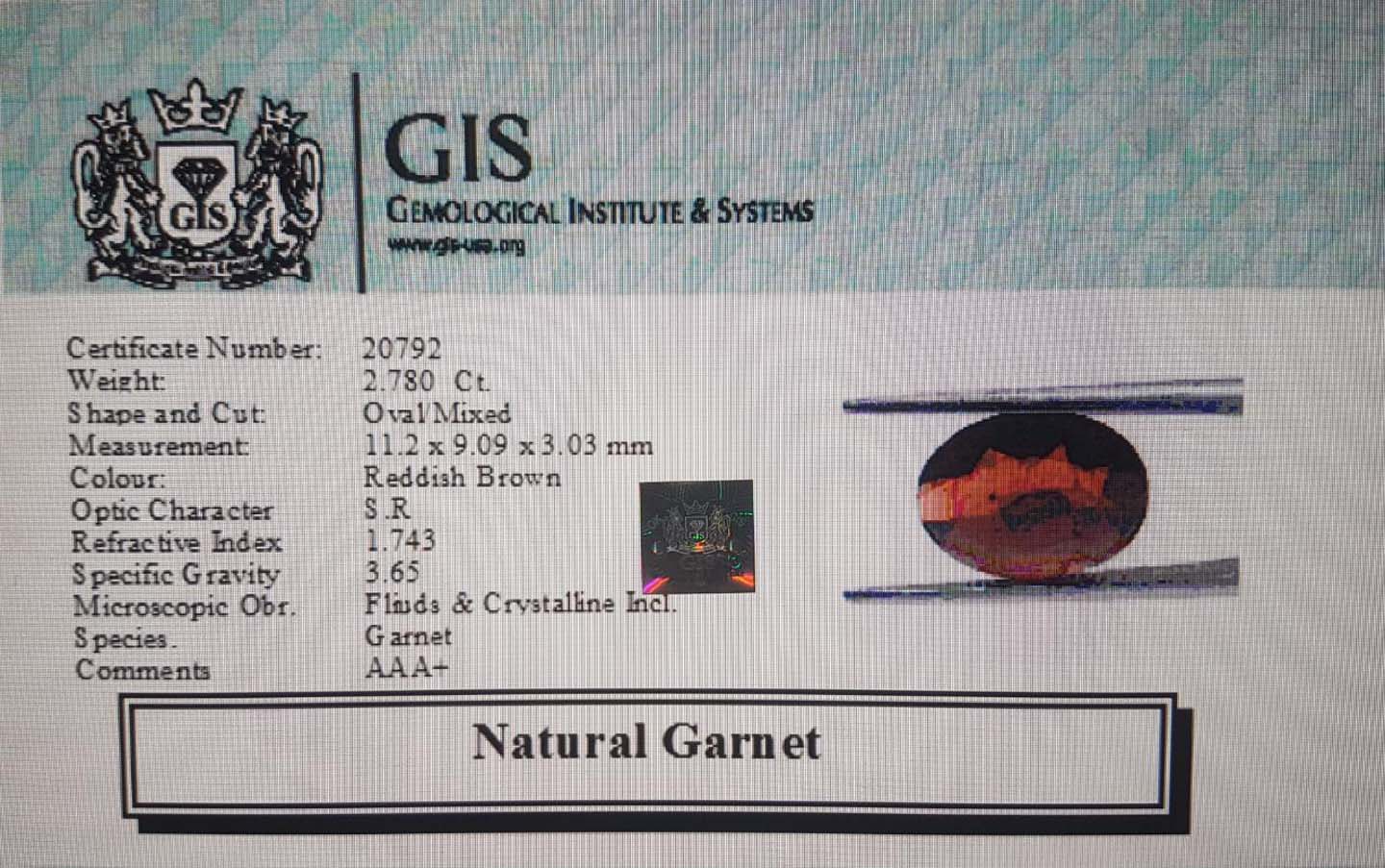 Garnet 2.78 Ct.