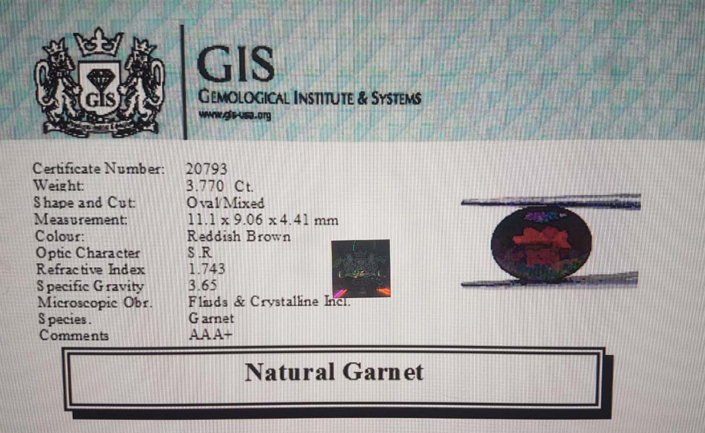 Garnet 3.77 Ct.