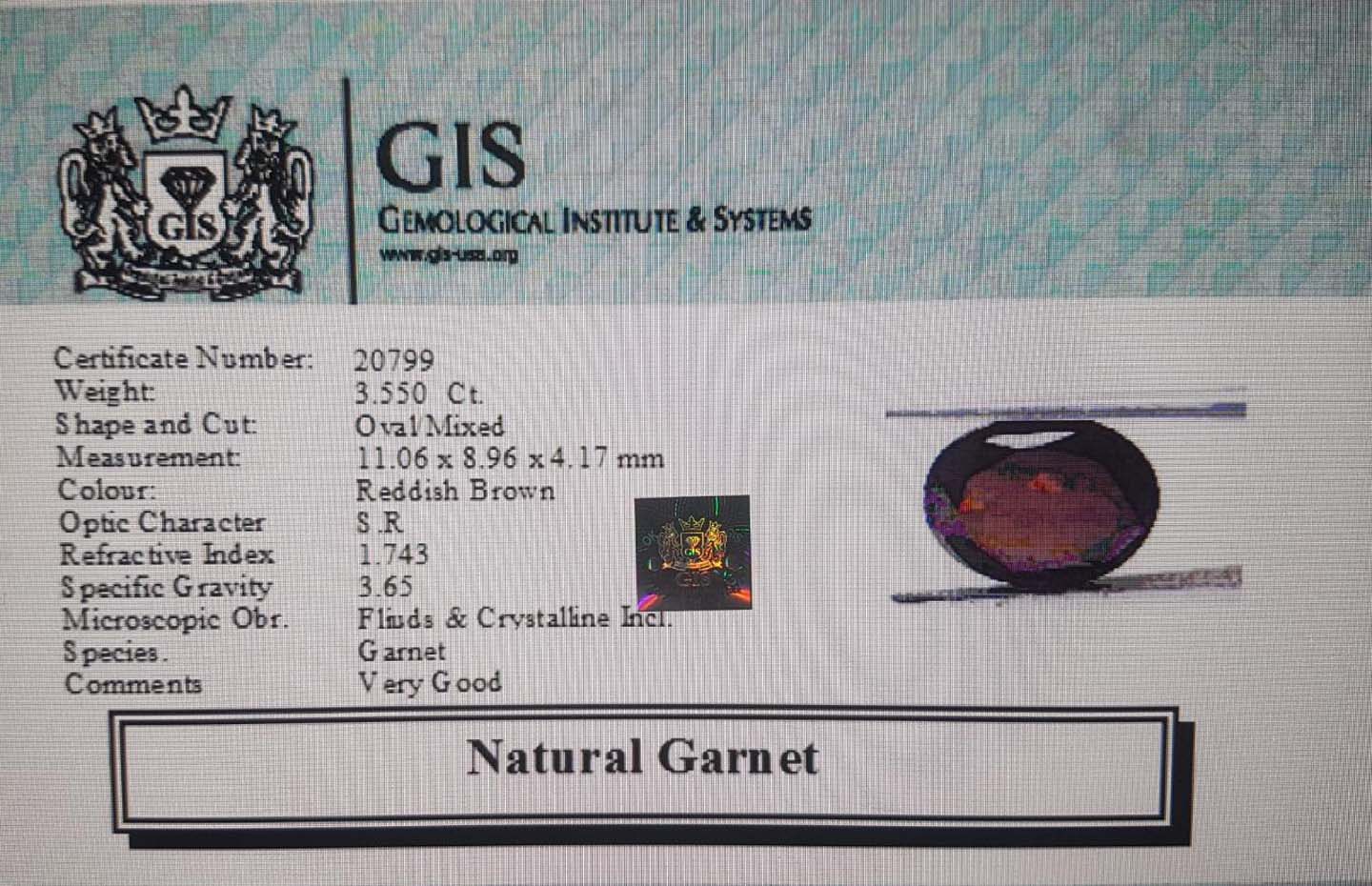 Garnet 3.55 Ct.
