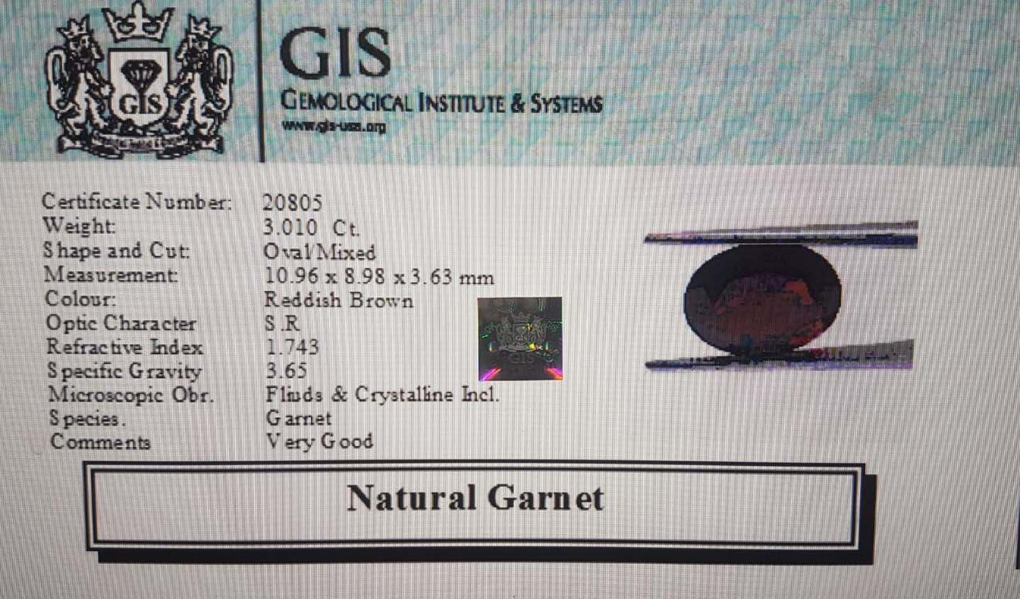 Garnet 3.01 Ct.