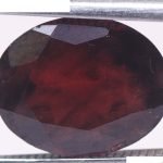 Garnet 4.06 Ct.