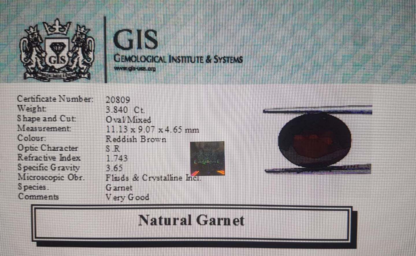 Garnet 3.84 Ct.