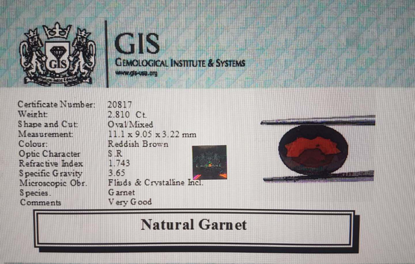 Garnet 2.81 Ct.