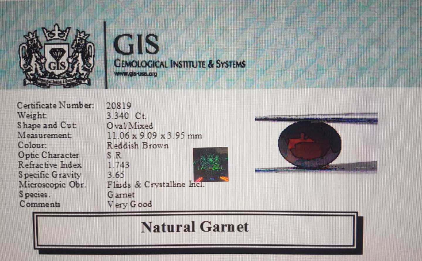 Garnet 3.34 Ct.