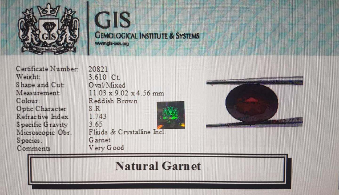 Garnet 3.61 Ct.