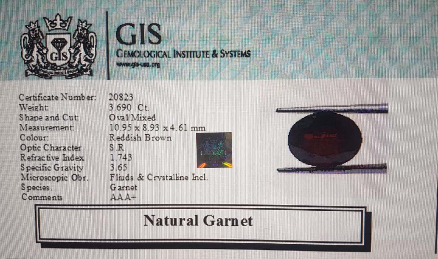 Garnet 3.69 Ct.