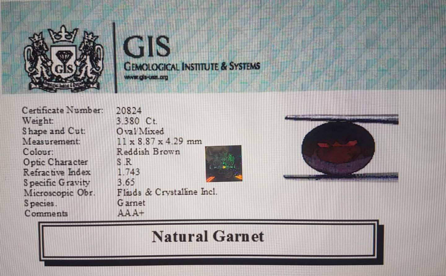 Garnet 3.38 Ct.