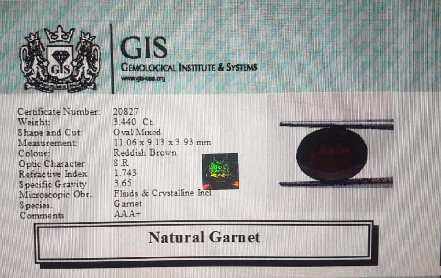 Garnet 3.44 Ct.