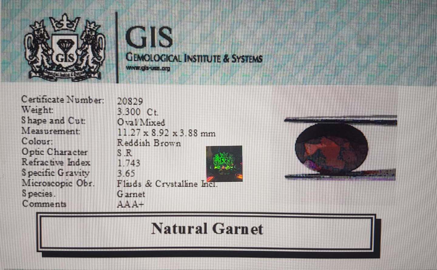 Garnet 3.3 Ct.