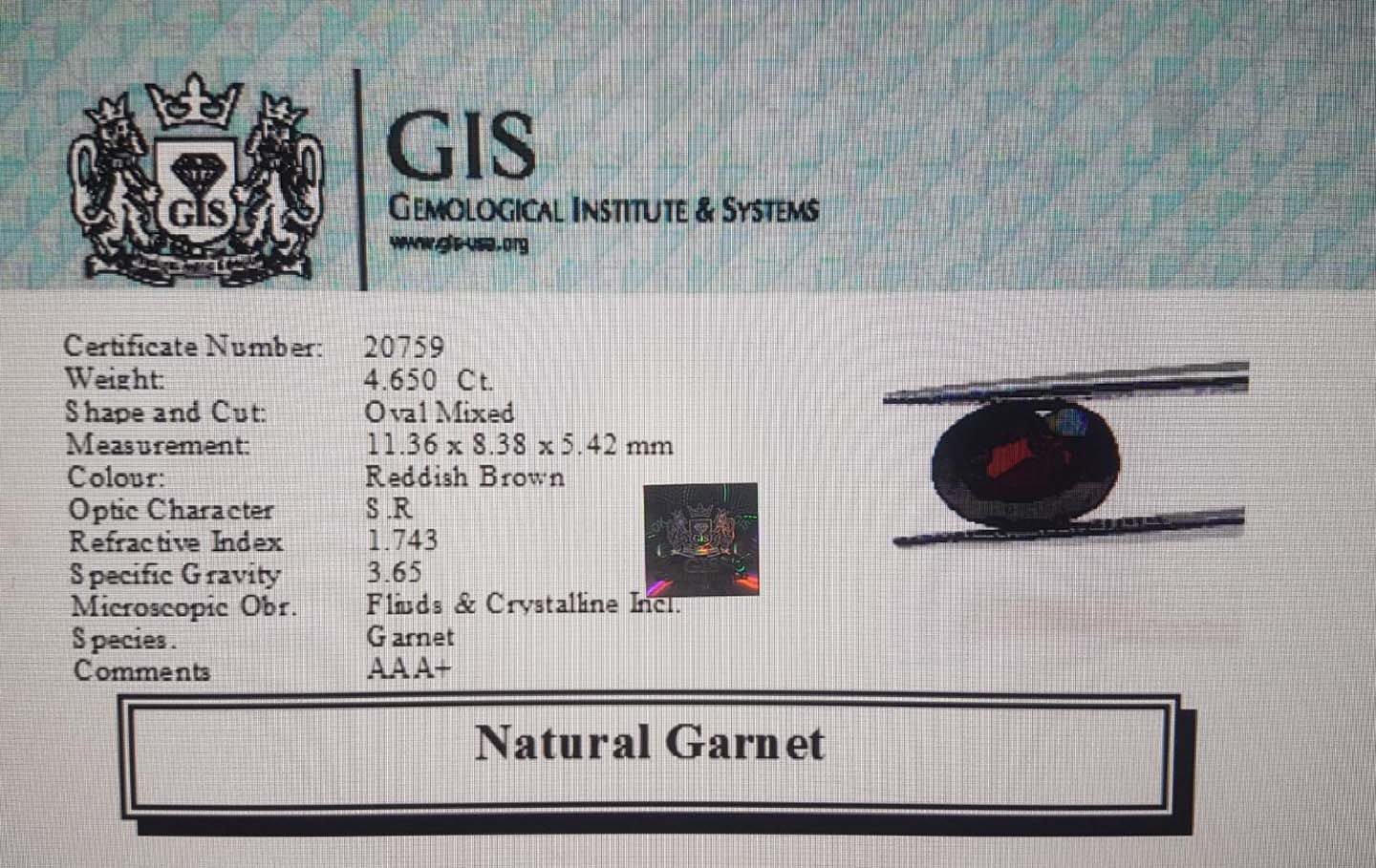 Garnet 4.65 Ct.