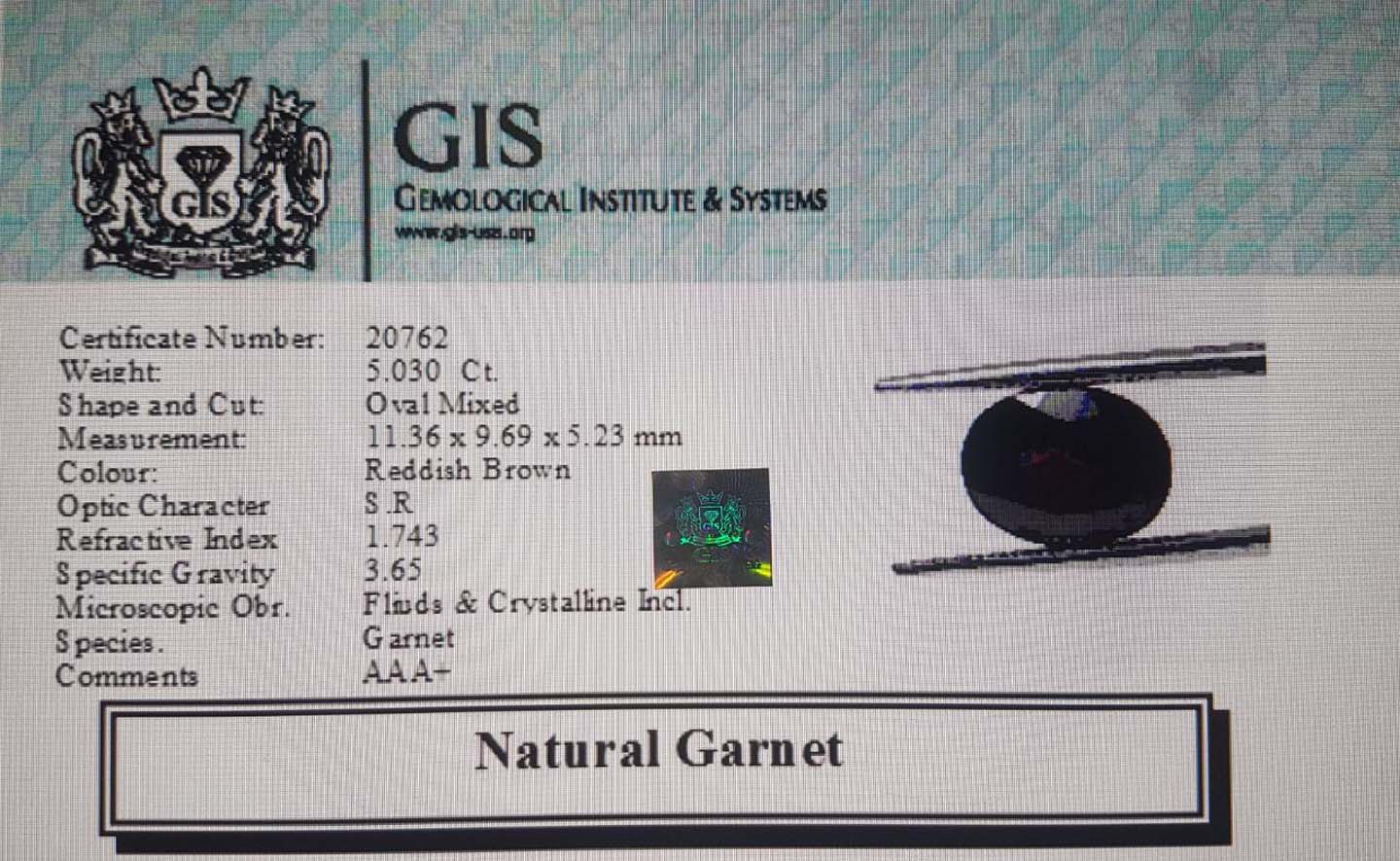 Garnet 5.03 Ct.