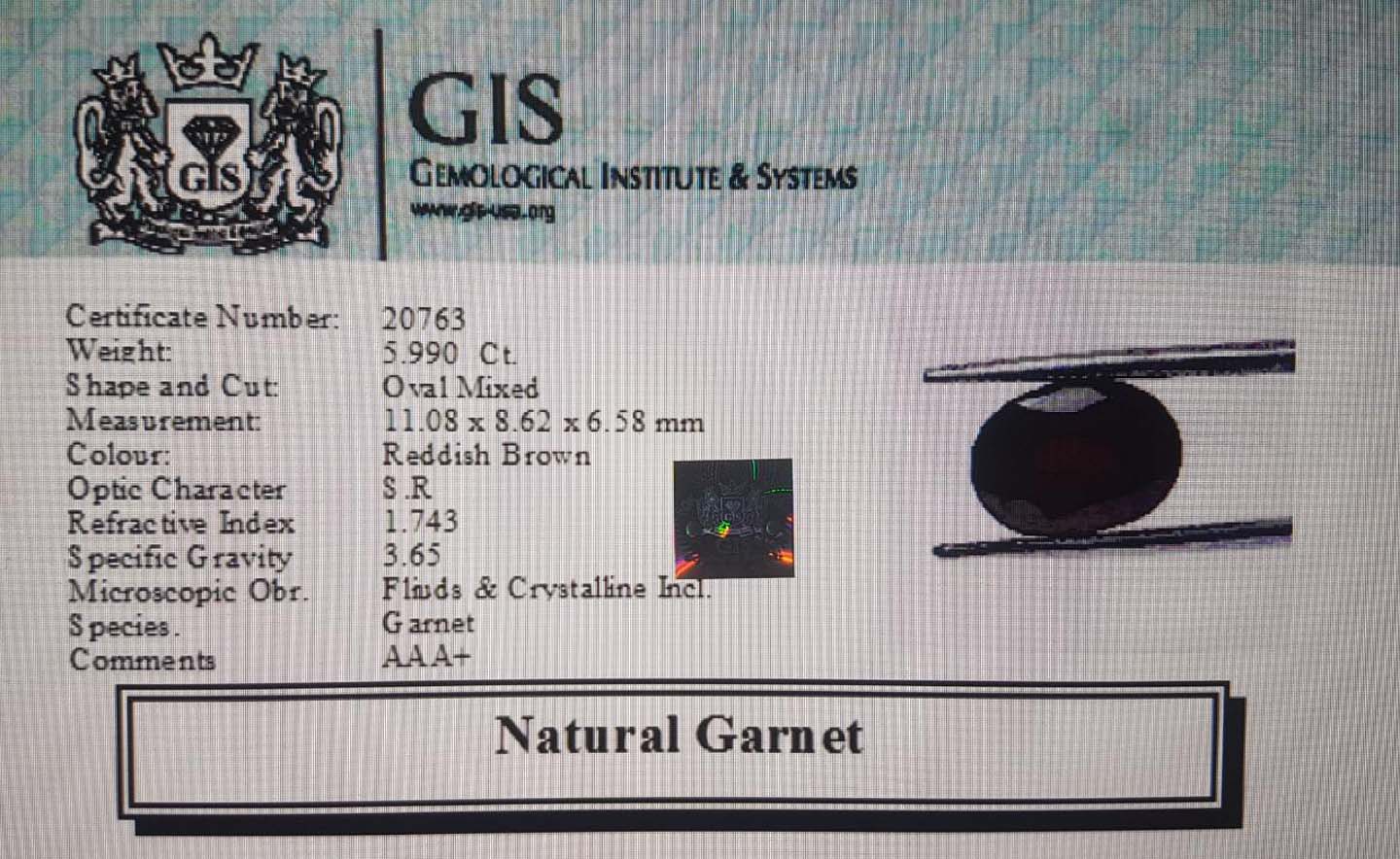 Garnet 5.99 Ct.