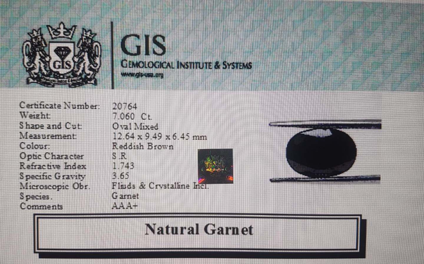 Garnet 7.06 Ct.