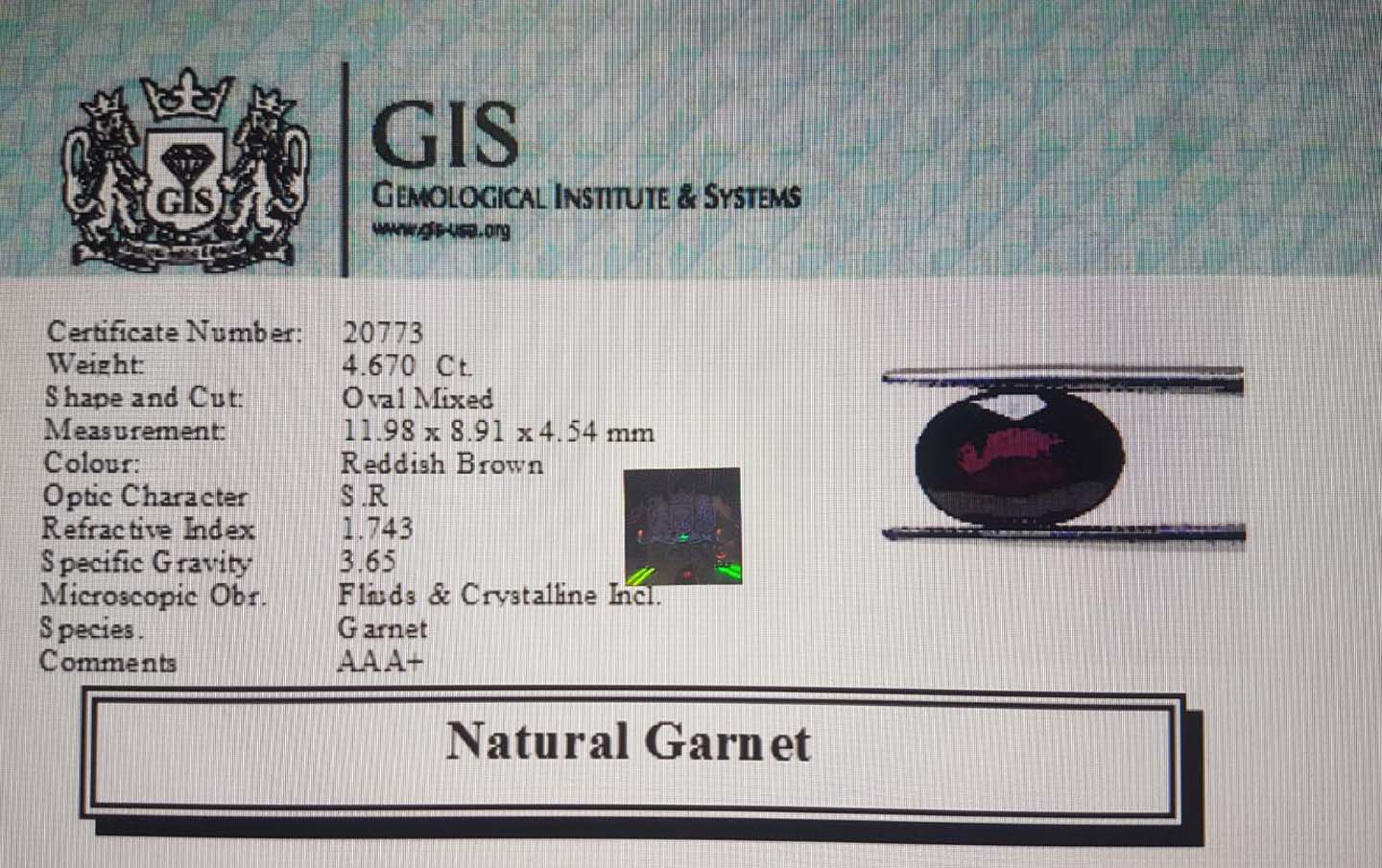 Garnet 4.67 Ct.