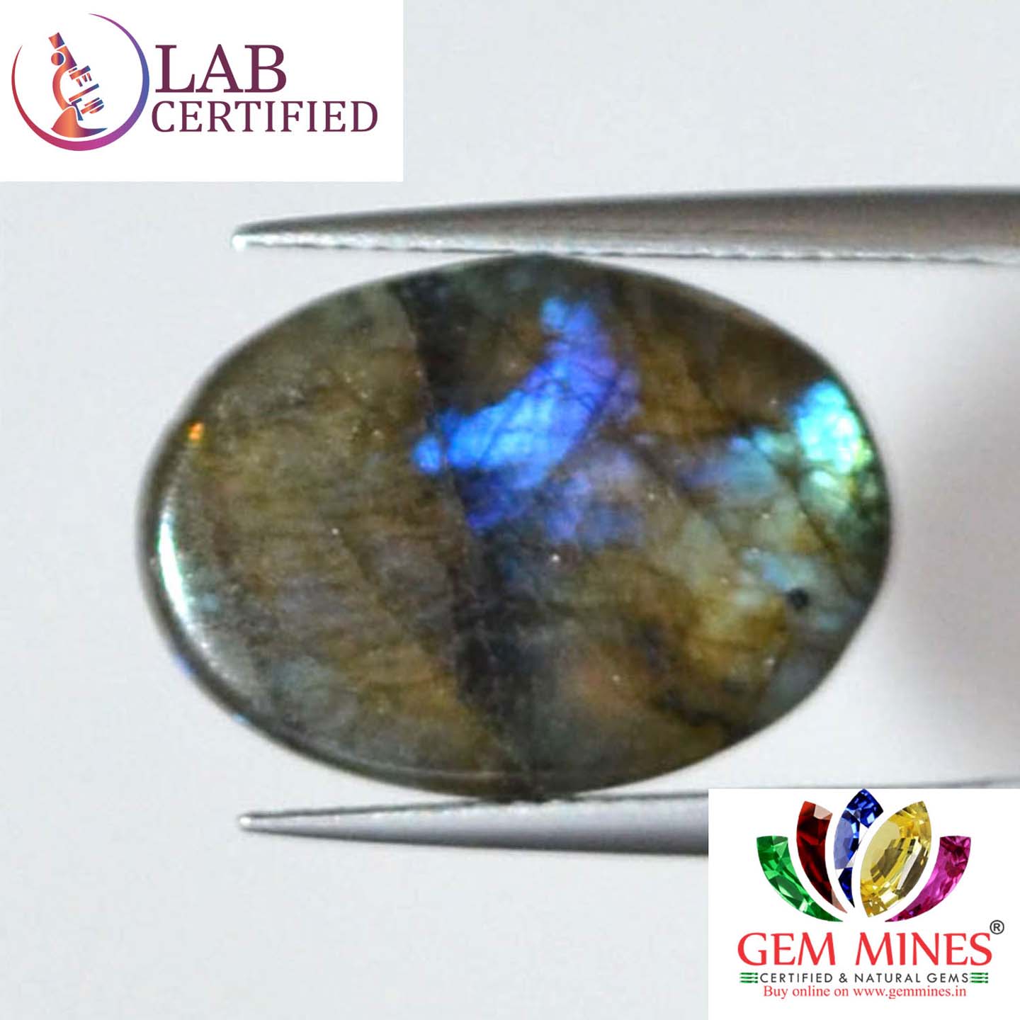 LAB123 2 Labradorite 10.85 Ct.
