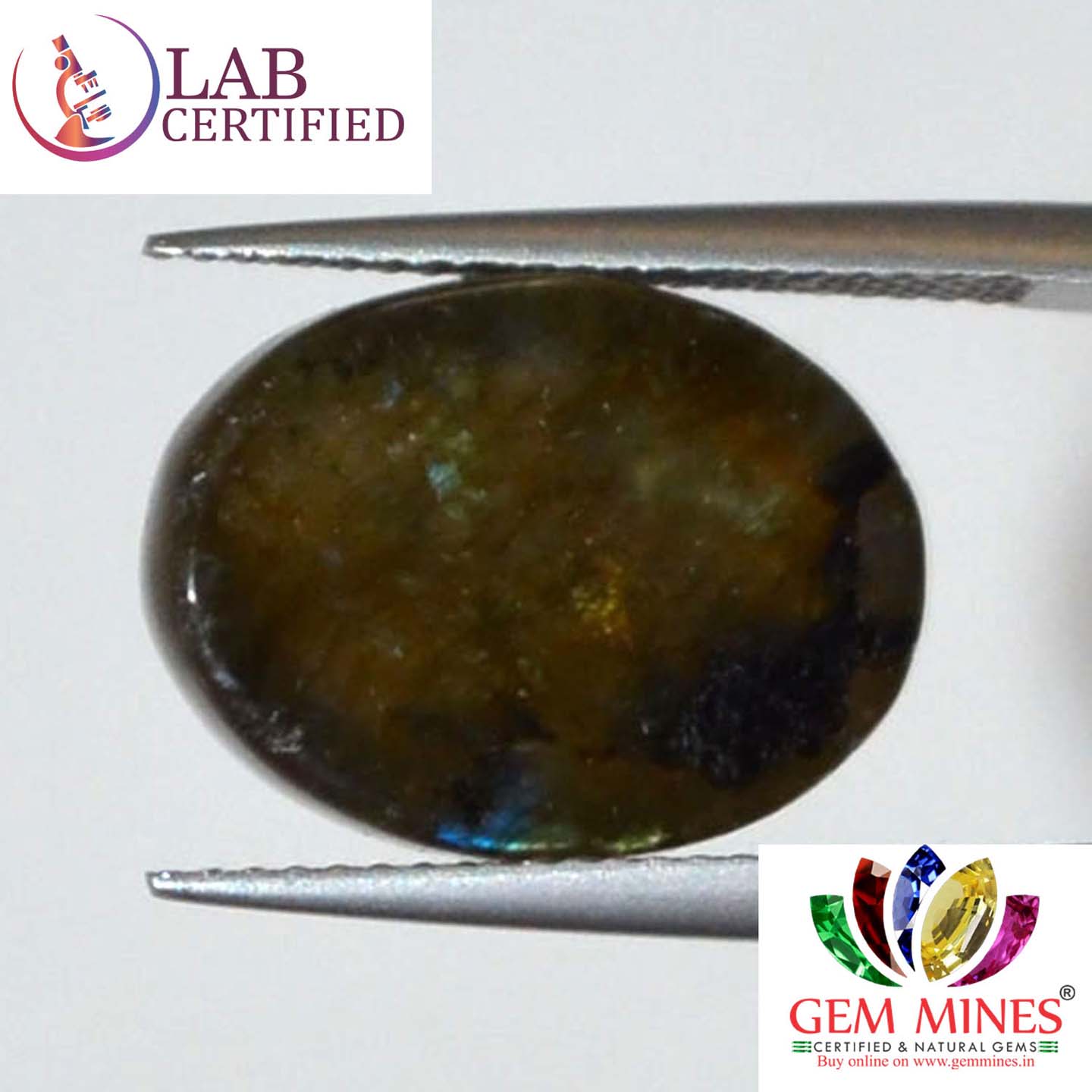 LAB126 2 Labradorite 11.25 Ct.