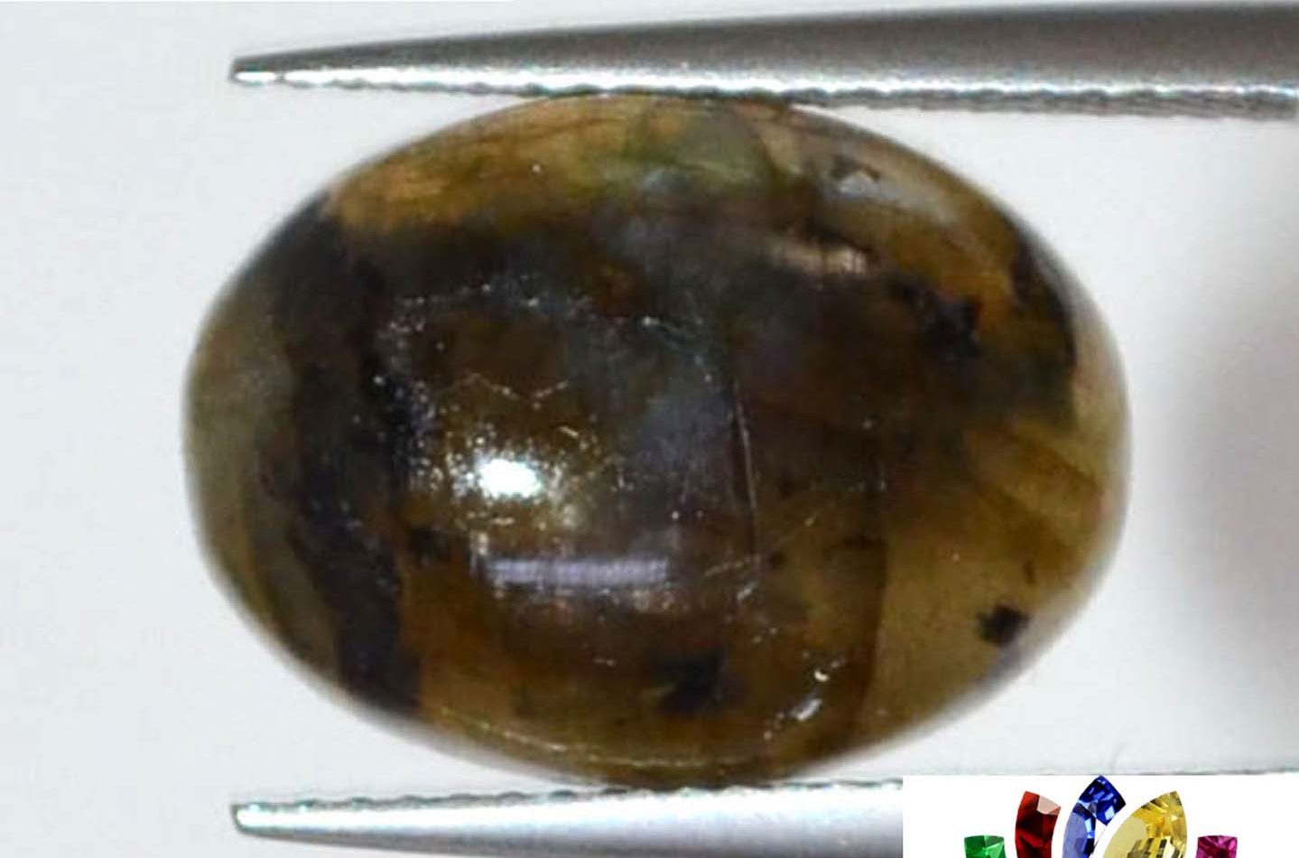 Labradorite 8.86 Ct.