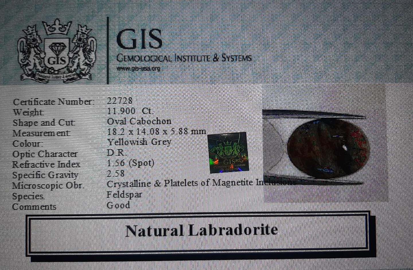 Labradorite 11.9 Ct.