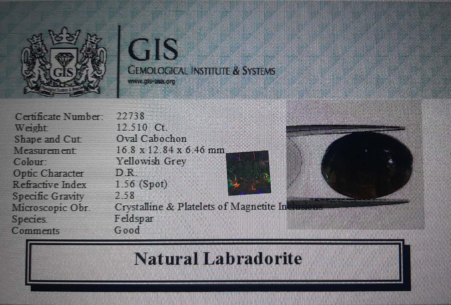 Labradorite 12.51 Ct.